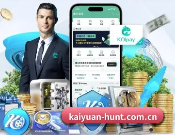 开元入口 APP 深度功能
