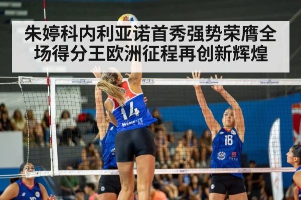 volleyball match
