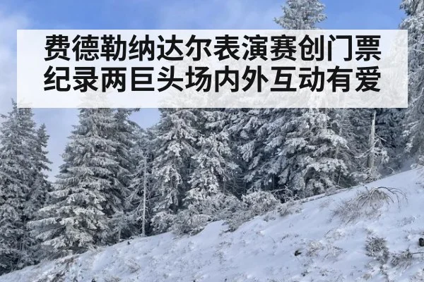 费德勒纳达尔表演赛创门票纪录两巨头场内外互动有爱